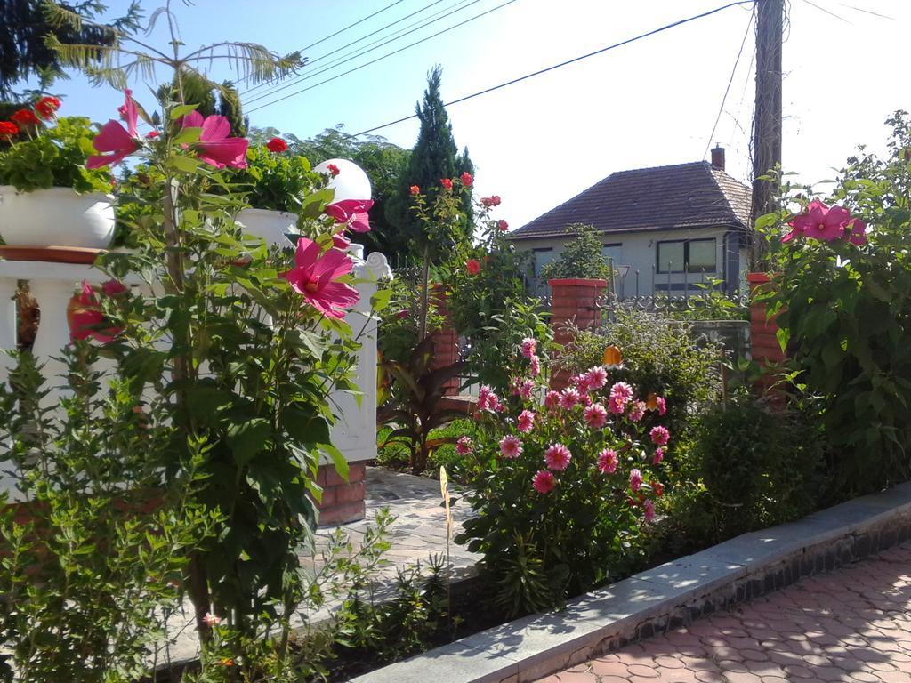 HévízKristaly Apartman住宿加早餐旅馆 外观 照片